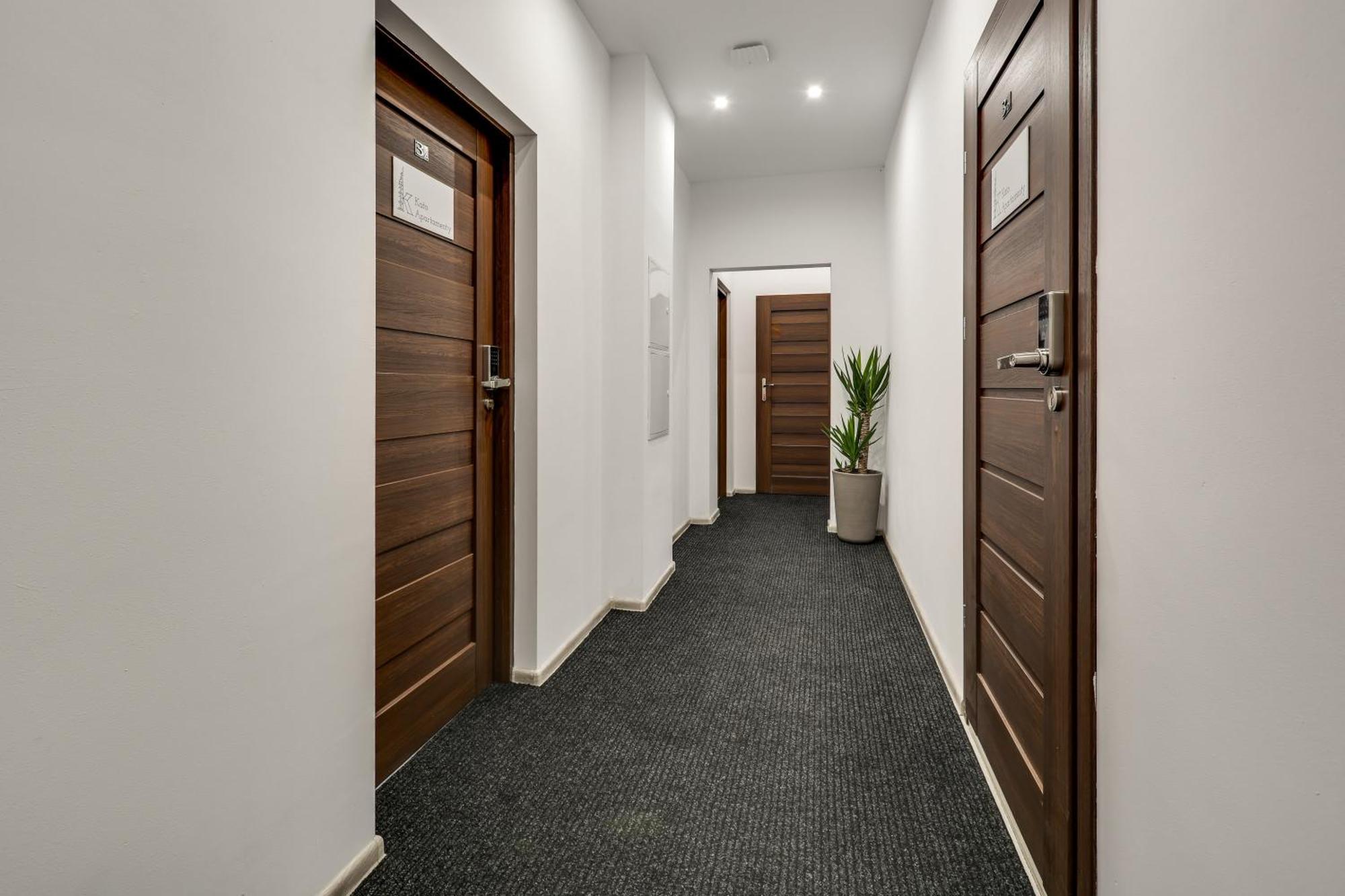 Kato Moniuszki Apartamento